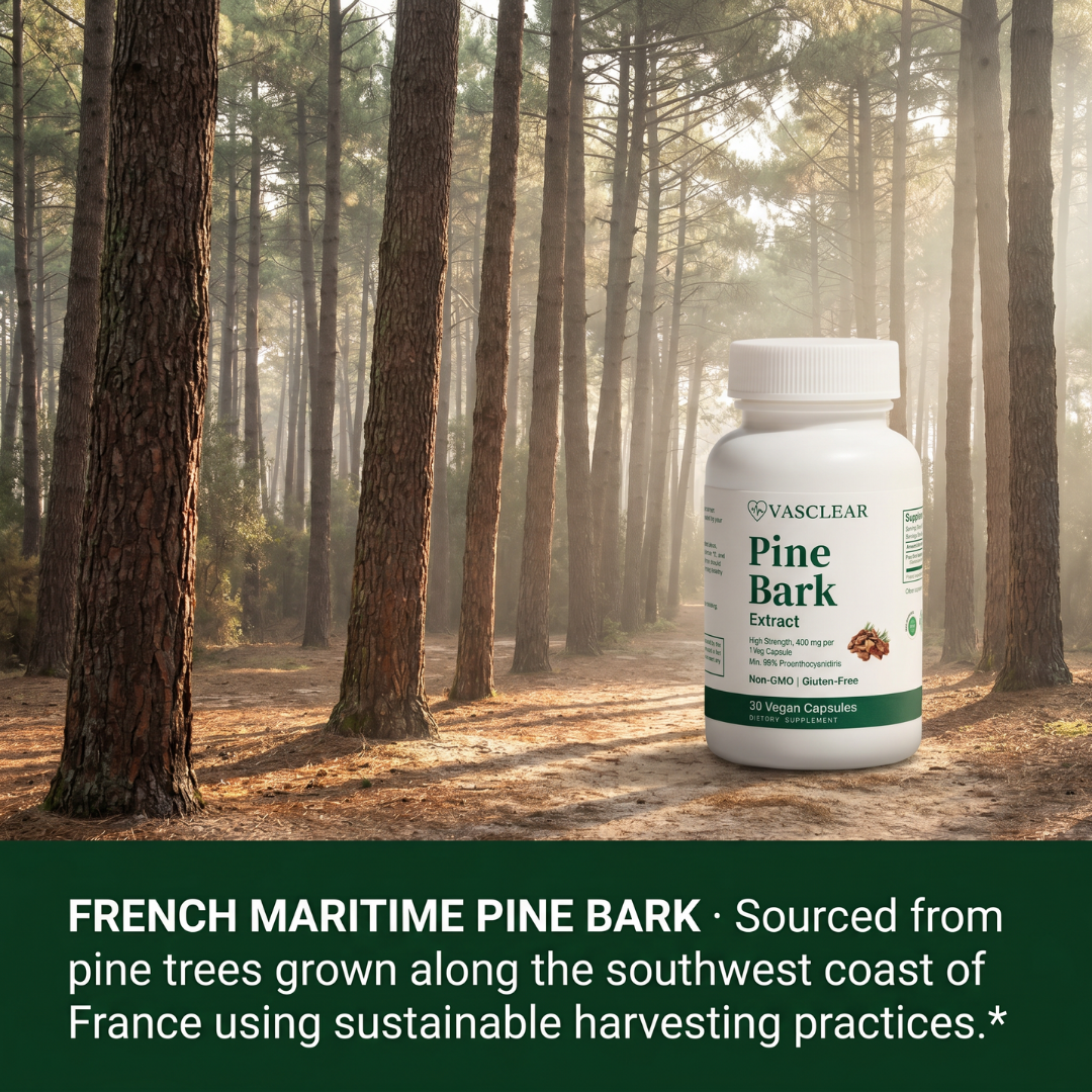 Pine Bark Extract