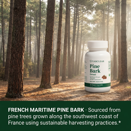 Pine Bark Extract