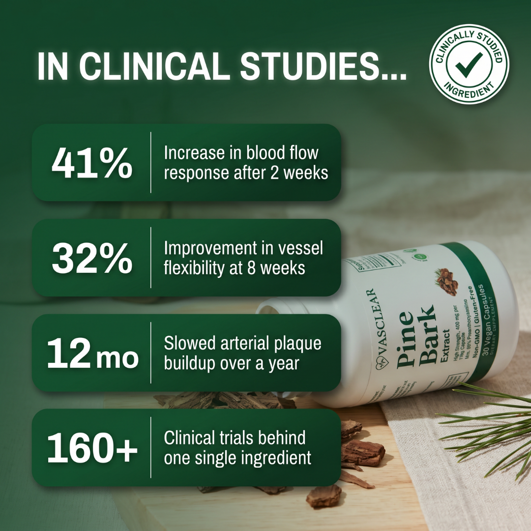 Pine Bark Extract
